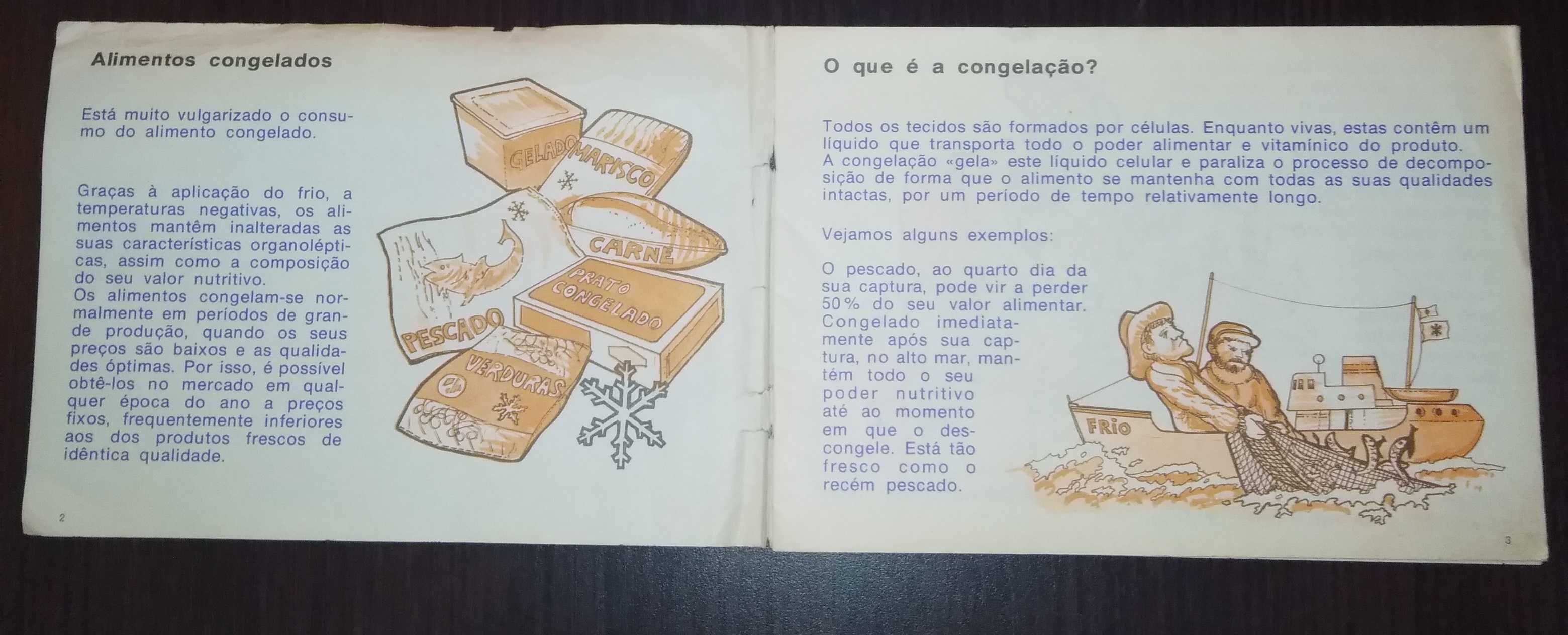 Instituto Nacional do Frio Livro Vantagens da Congelação Anos 60 Raro