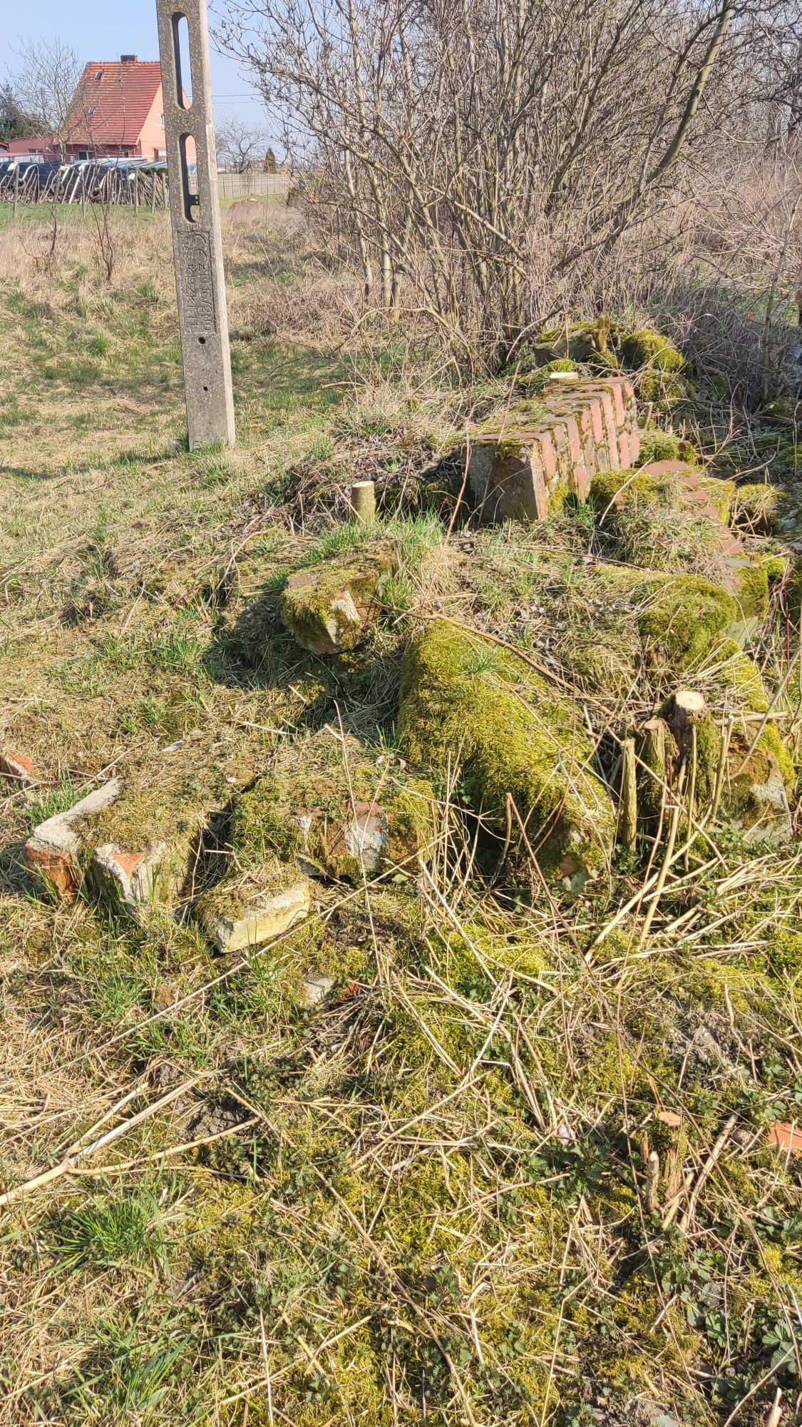Oddam ziemię i gruz
