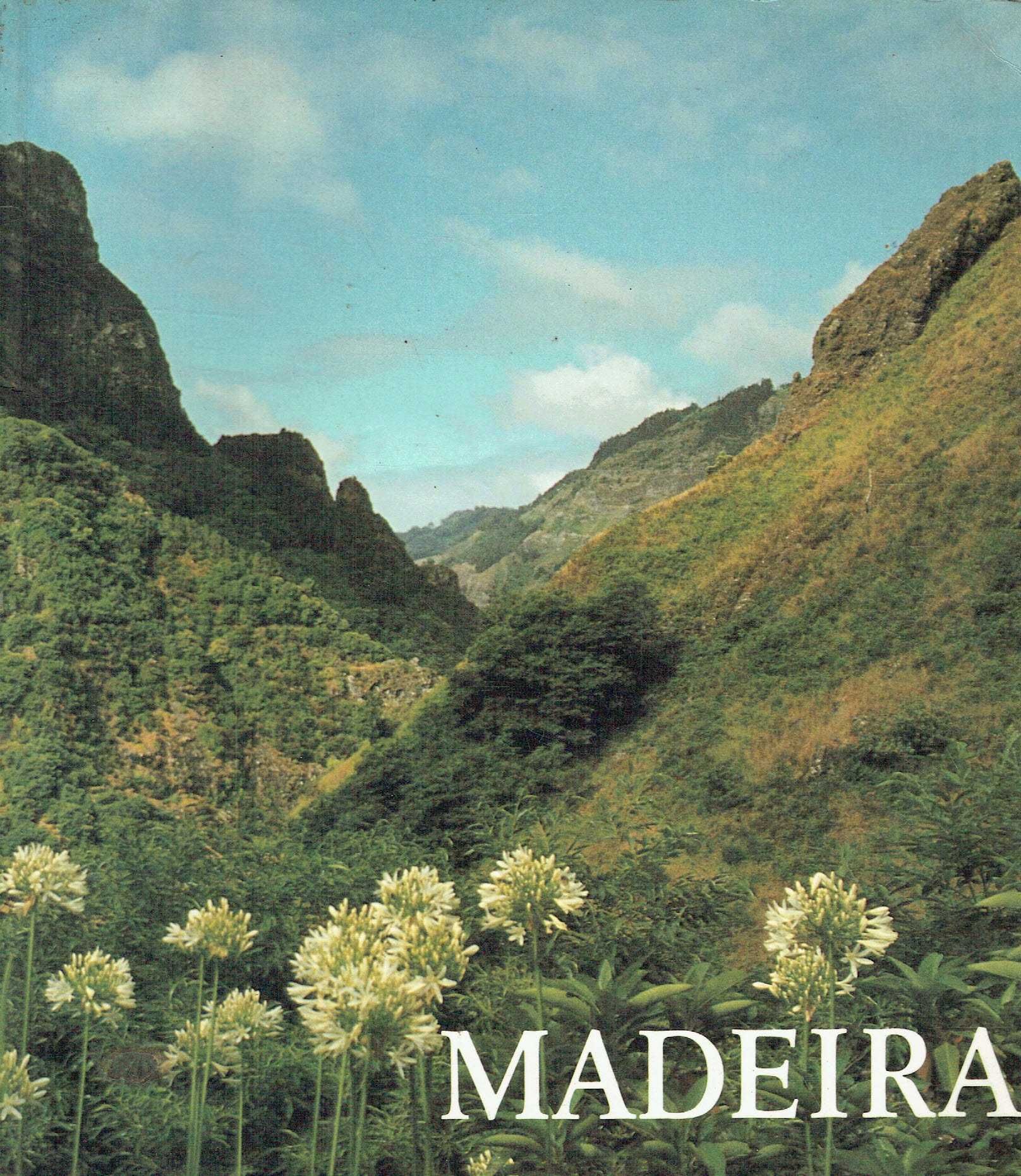 2145

Madeira
de John Underwood