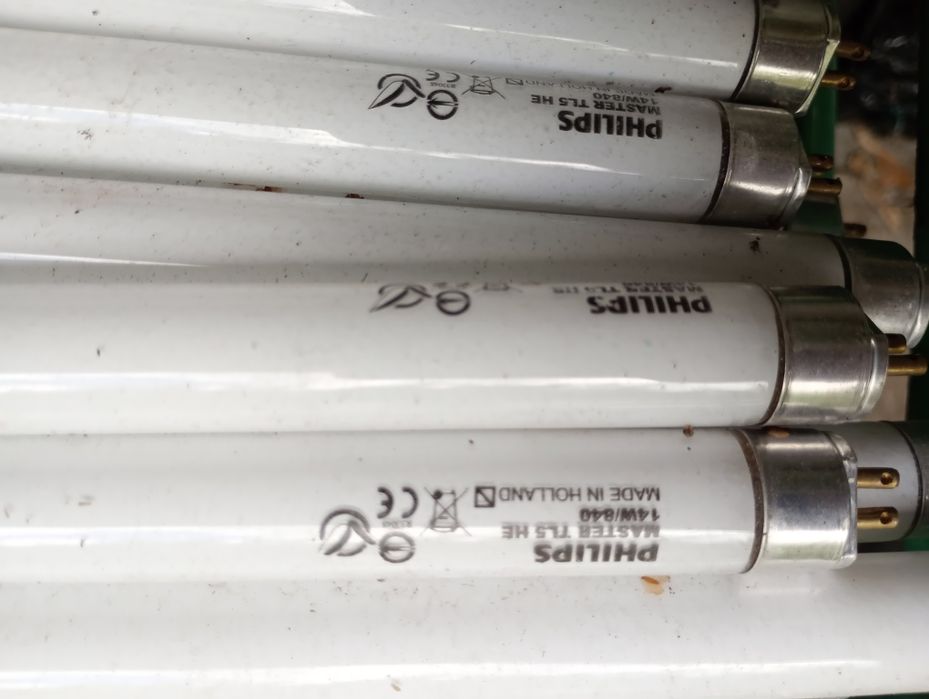 Żarówka świetlówka Philips MASTER TL5 HE 14W/840