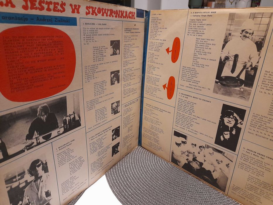 Płyta winylowa Skaldowie, Cała jesteś w skowronkach winyl