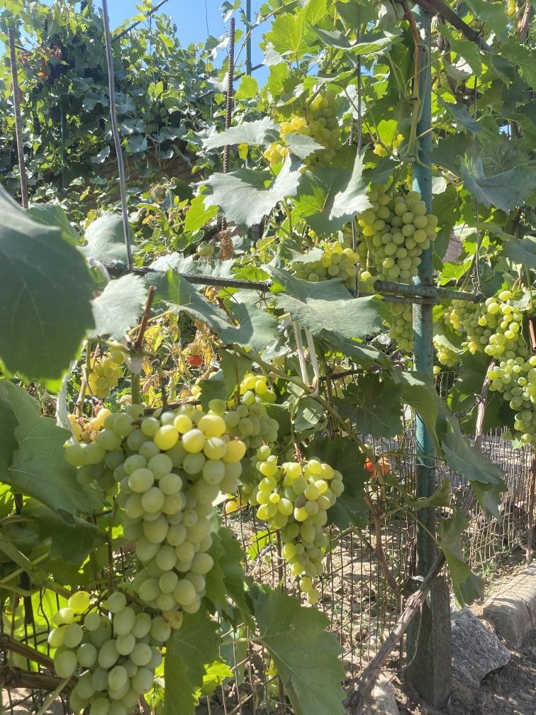 Продам будинок в м. Покров район Гірняк