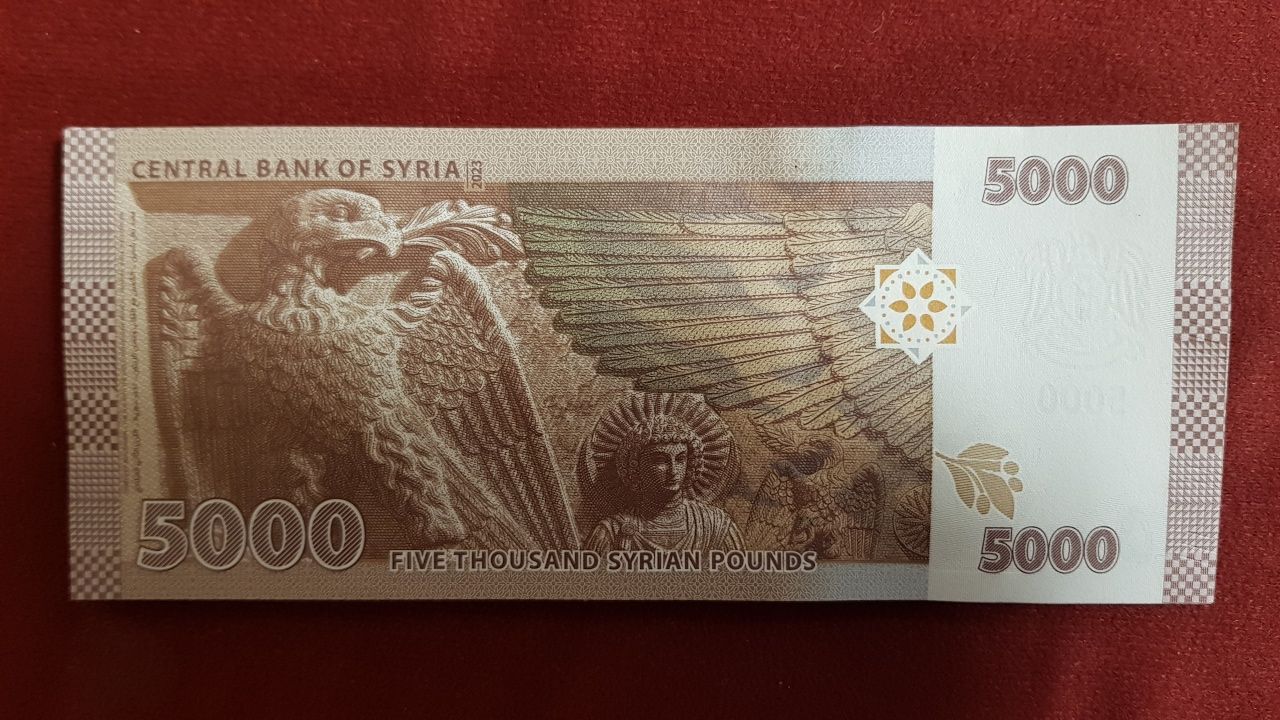 Banknoty Syria 5000 Funtów