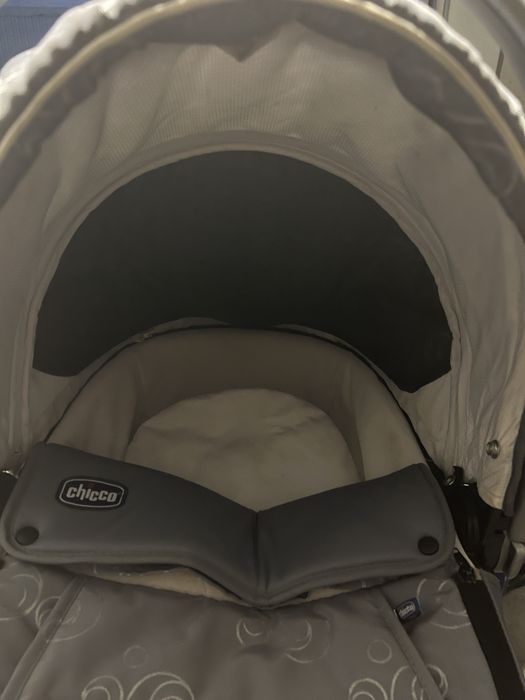 Alcofa chicco living