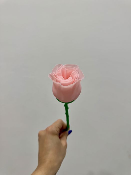 Flor dia da mulher