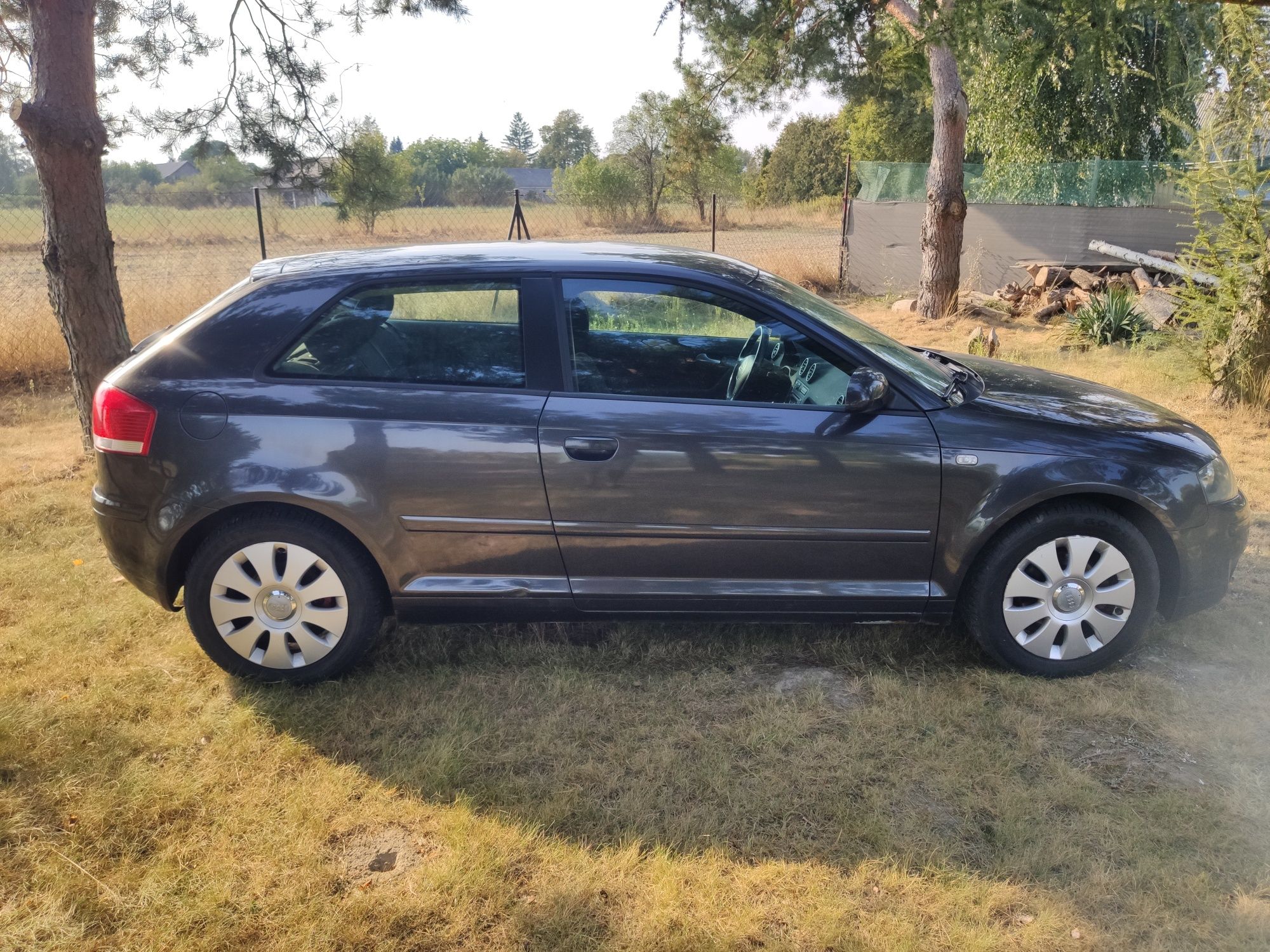 Audi a3 8p 1.6 MPI 2004r