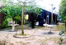 Terreno rústico com casa madeira de apoio ao parque lazer