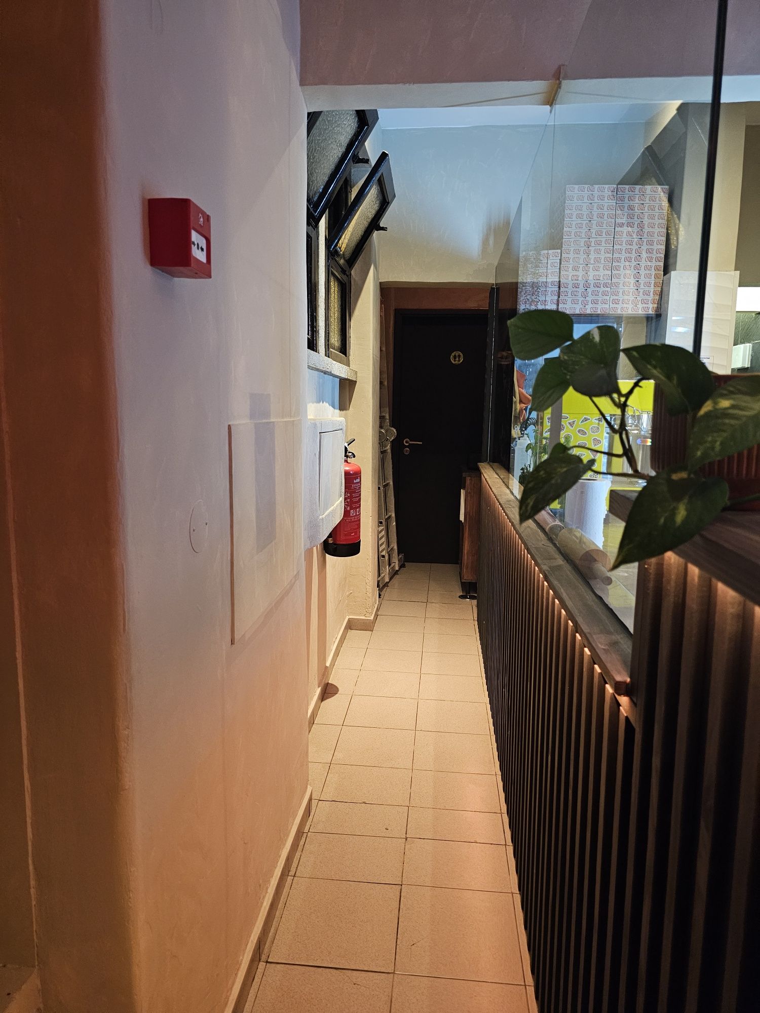 Trespasse Pizzaria remodelada em funcionamento