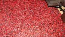 Tapetes e Carpetes