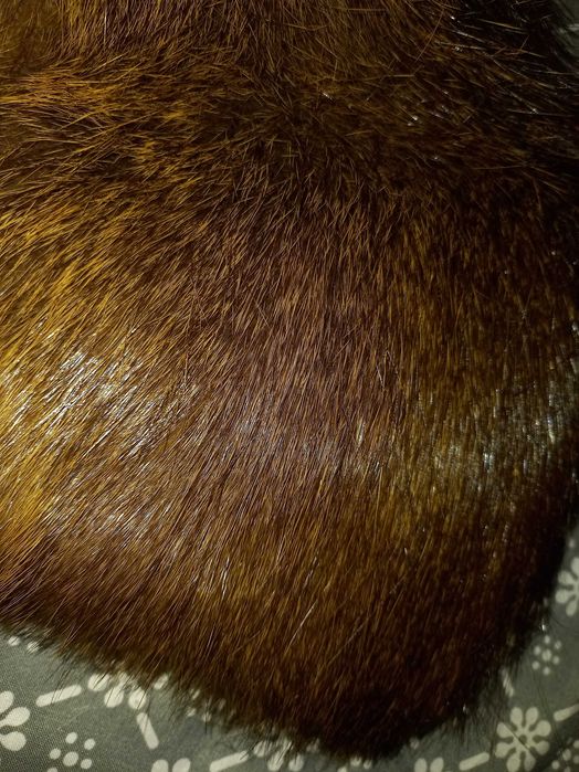 Комір, воротник з натурального хутра