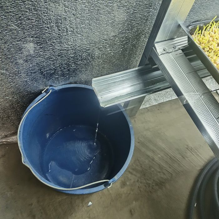 Продам працюючий,перспективний бізнес по вирощуванню мікрозелені  м.Дн