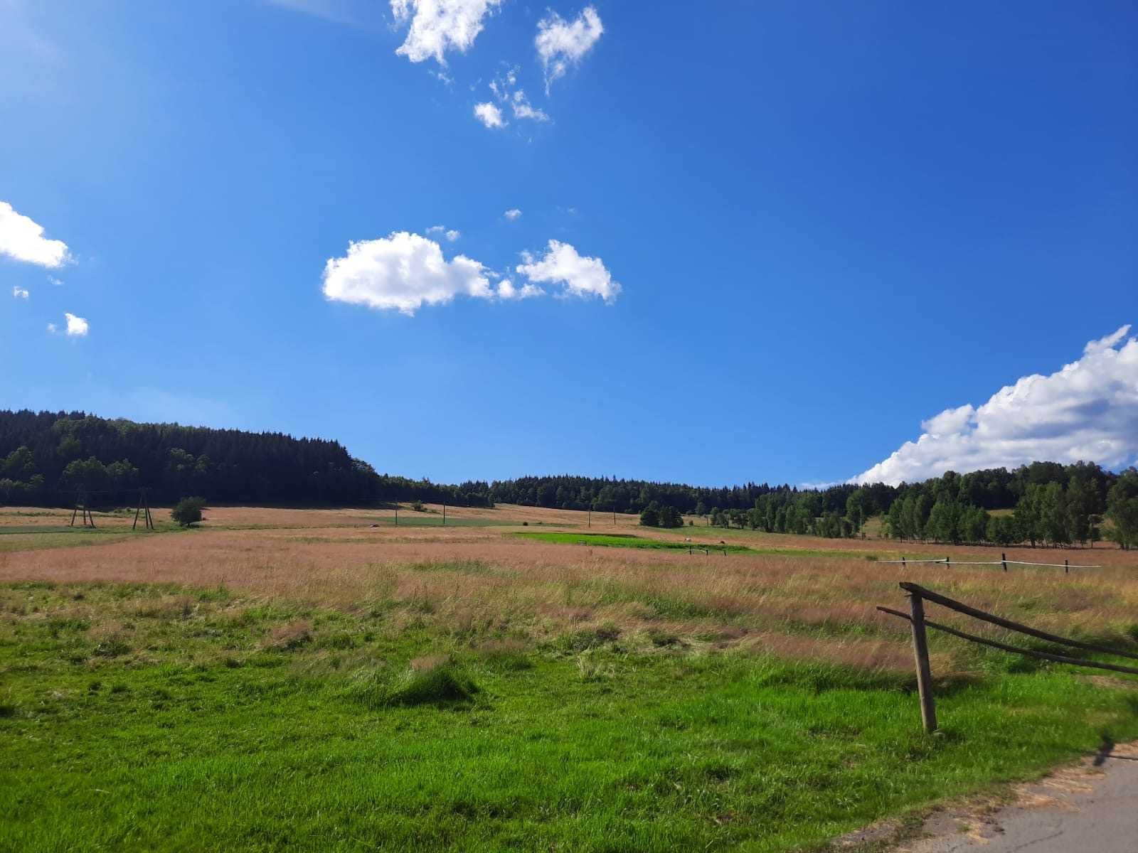 Działka przeznaczona do zabudowy mieszkaniowej w Stroniu Śląskim 80 ar