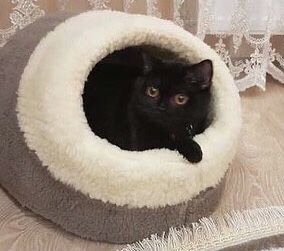Теплий хутряний будиночок хатинка лежанка для собачки котика 2 розміри