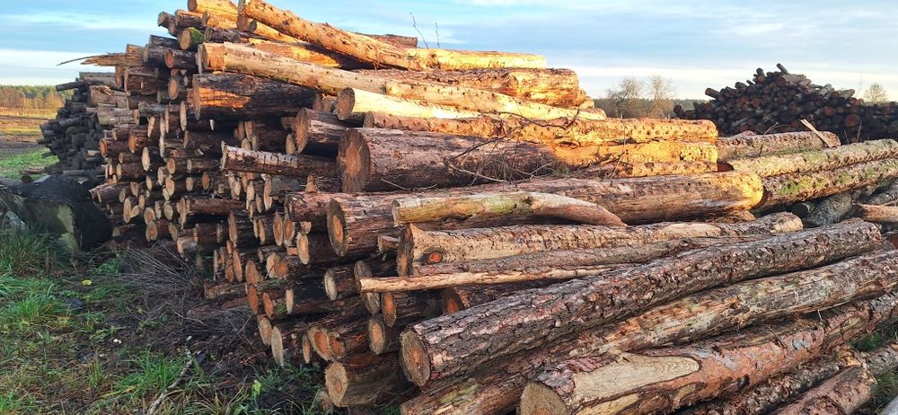 Drewno opałowe w wałkach,  łupane