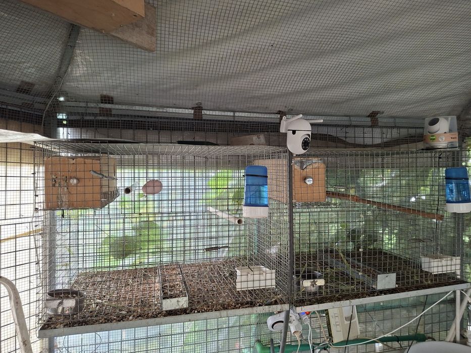 Gaiolas e voadeiras usadas