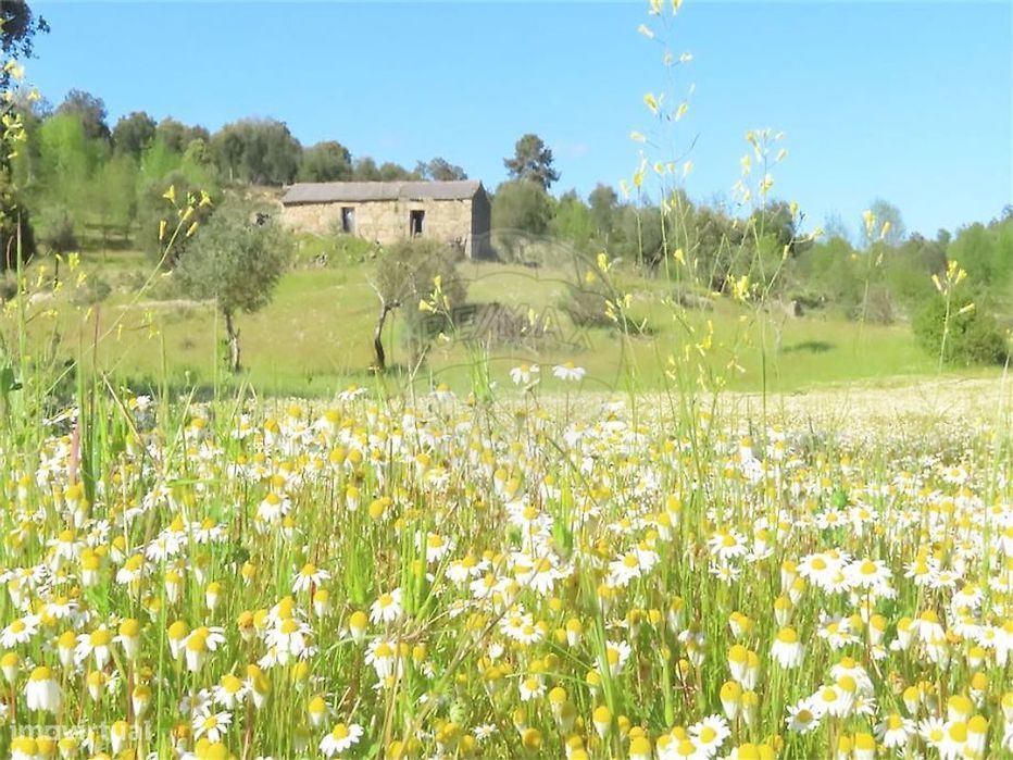 Quinta  para venda