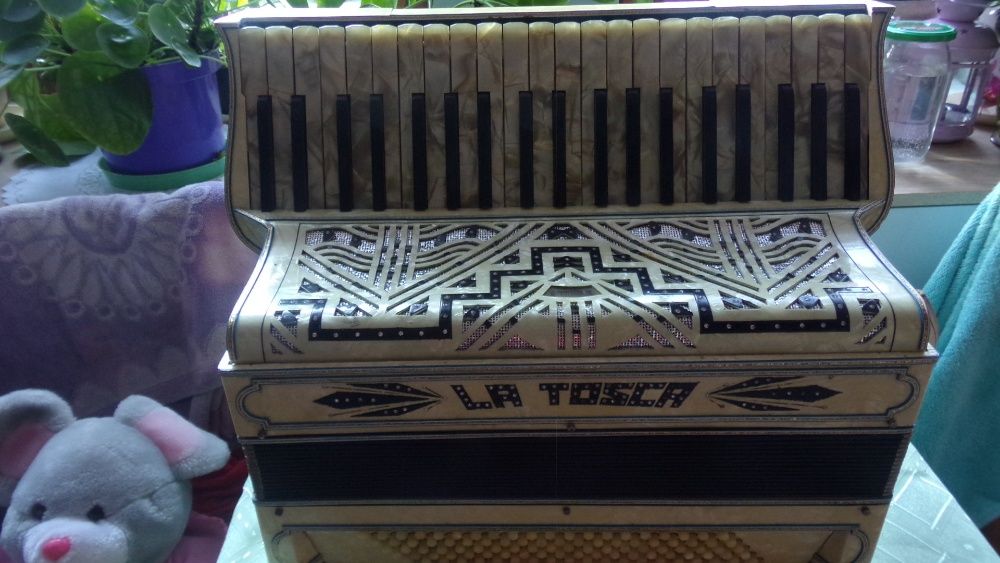 akordeon włoski La Tosca 120 b 3 ch