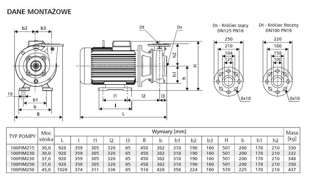 Pompa LFP 100 PJM 215 z silnikiem 30 kW 2900 obr/min