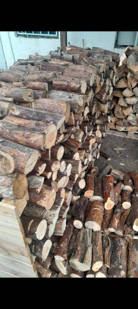 Drewno kominkowe/budowlane/wędzarnicze