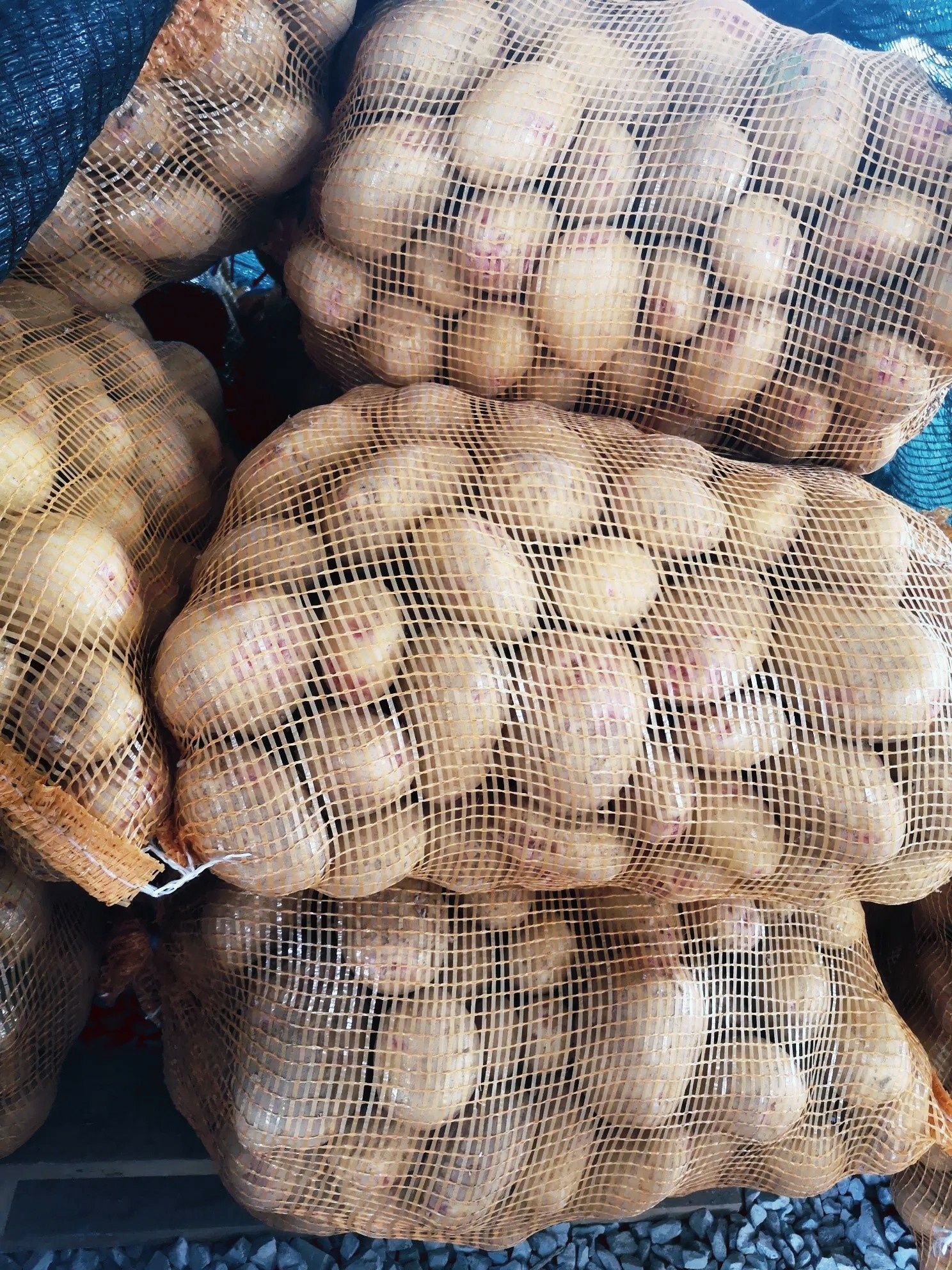 Batata Agria 20kg