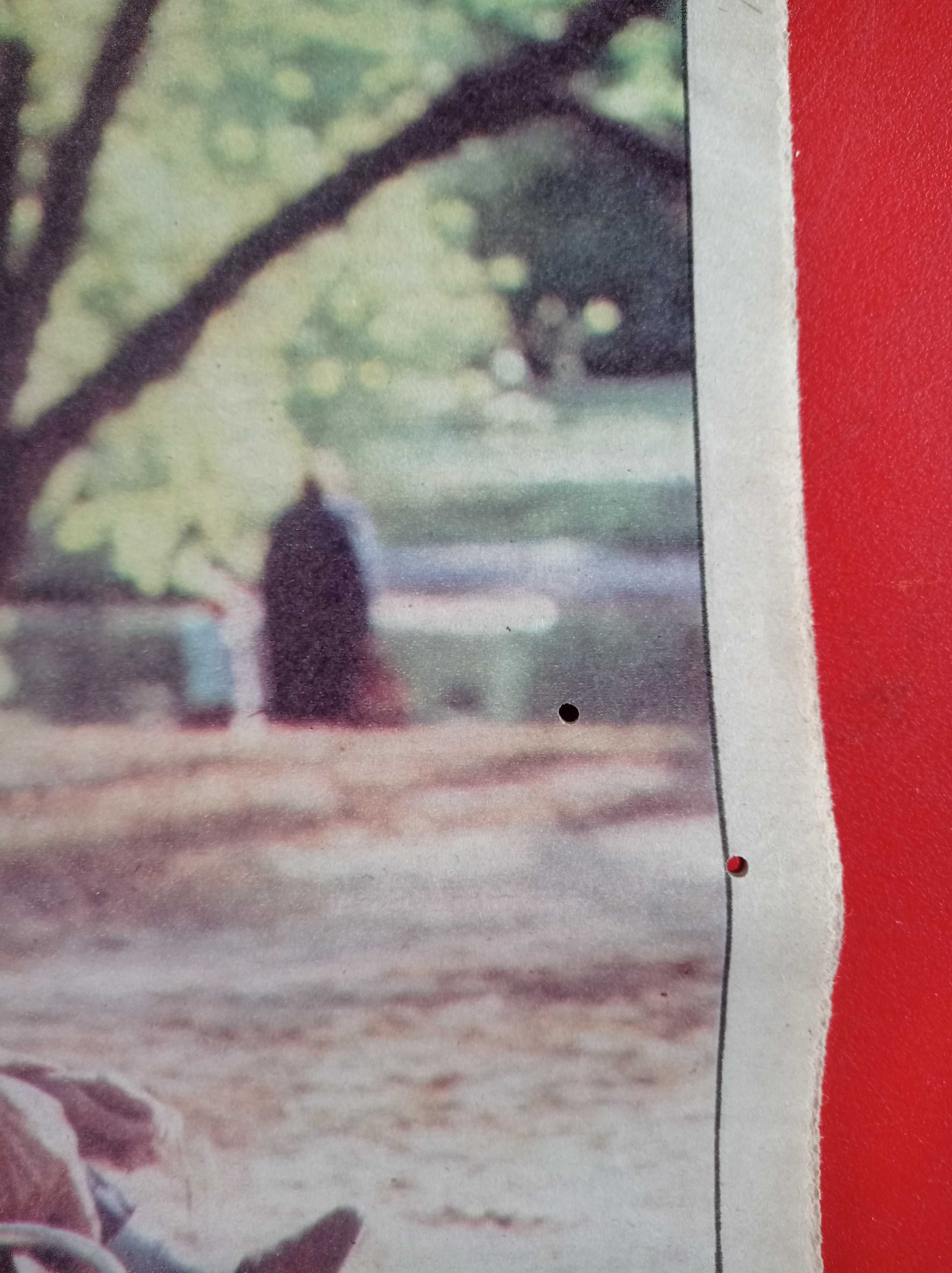 Przyjaciółka tygodnik, nr 37, 14 września 1980