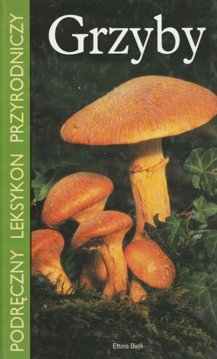 Grzyby Ettore Bielli