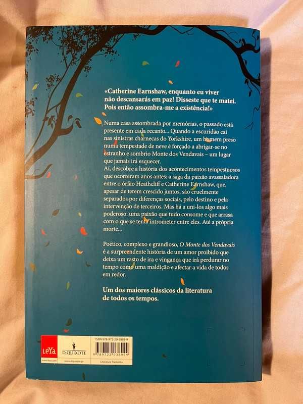 O monte dos Vendavais - Emily Brontë