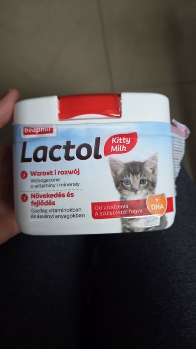 Lactol mleko w proszku dla kociąt