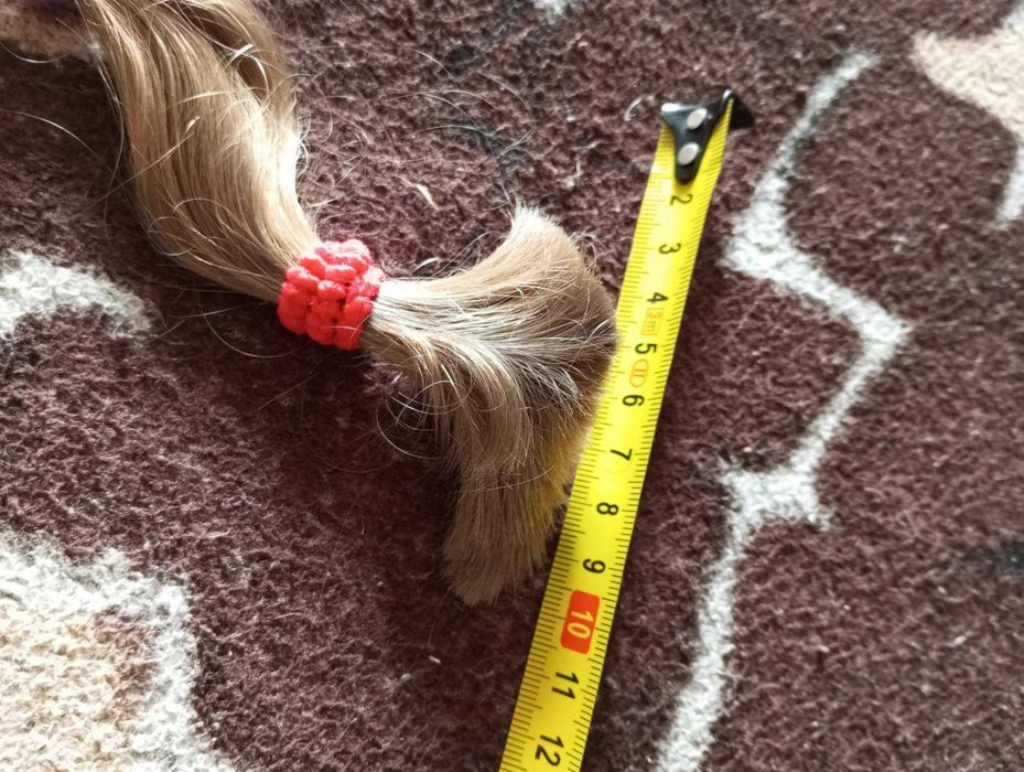 Волосся. Волосы. Отрез волос. Светлый русый. Волосы для наращивания.