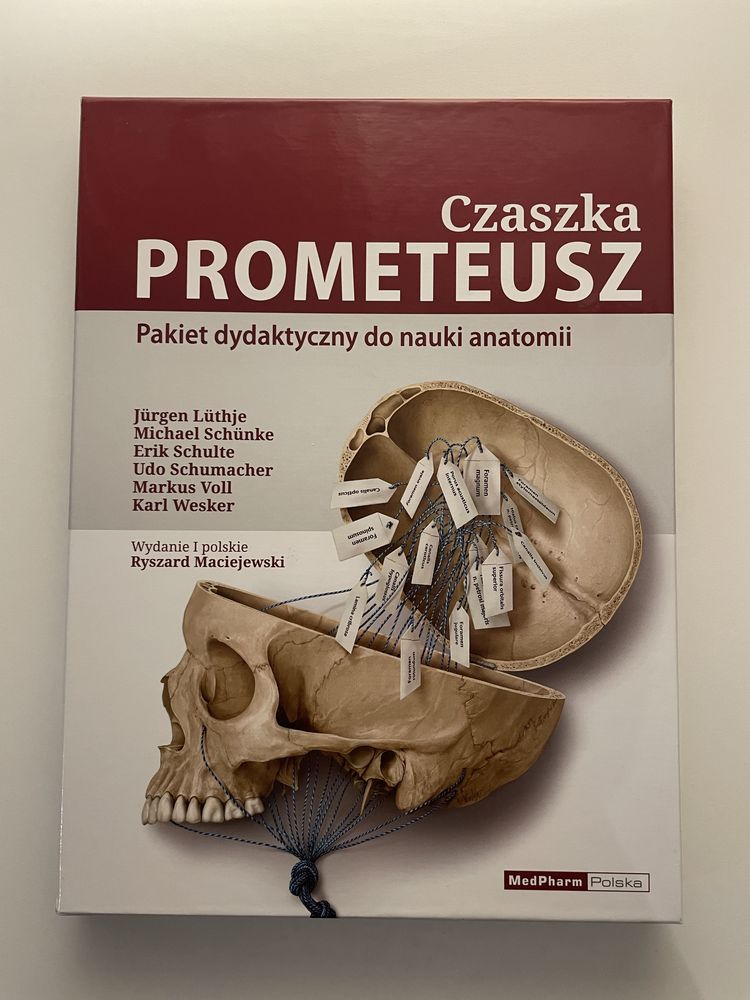 Pakiet dydatyktyczny Prometeusz - czaszka