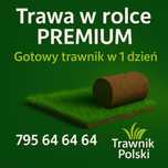 PROMOCJA 40 M2 Trawa w rolce, trawa z rolki, trawa, TRAWNIK POLSKI