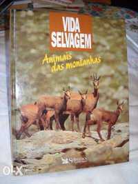 Vida Selvagem - Animais das montanhas