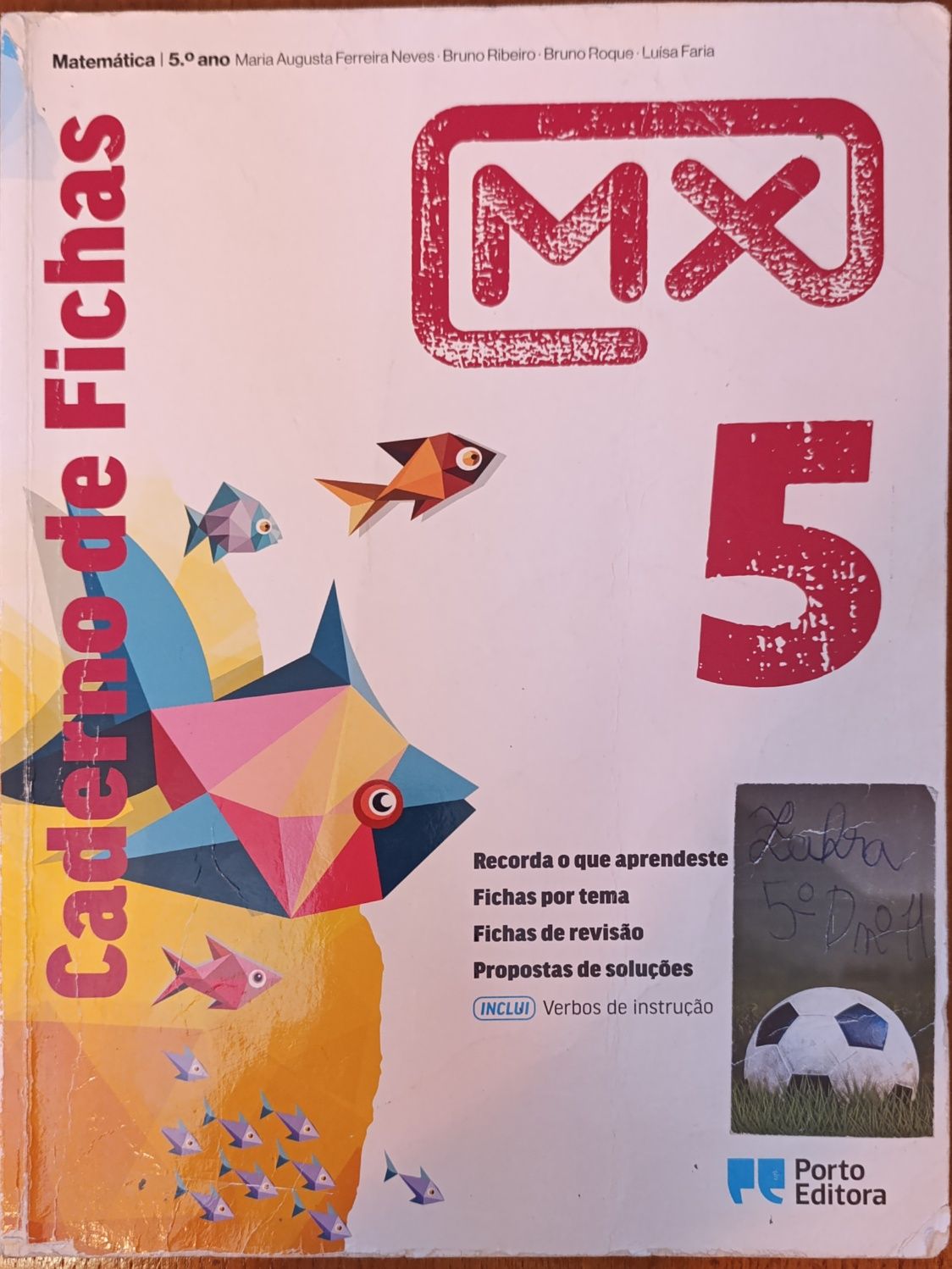 Livros de fichas e manuais 5 ano