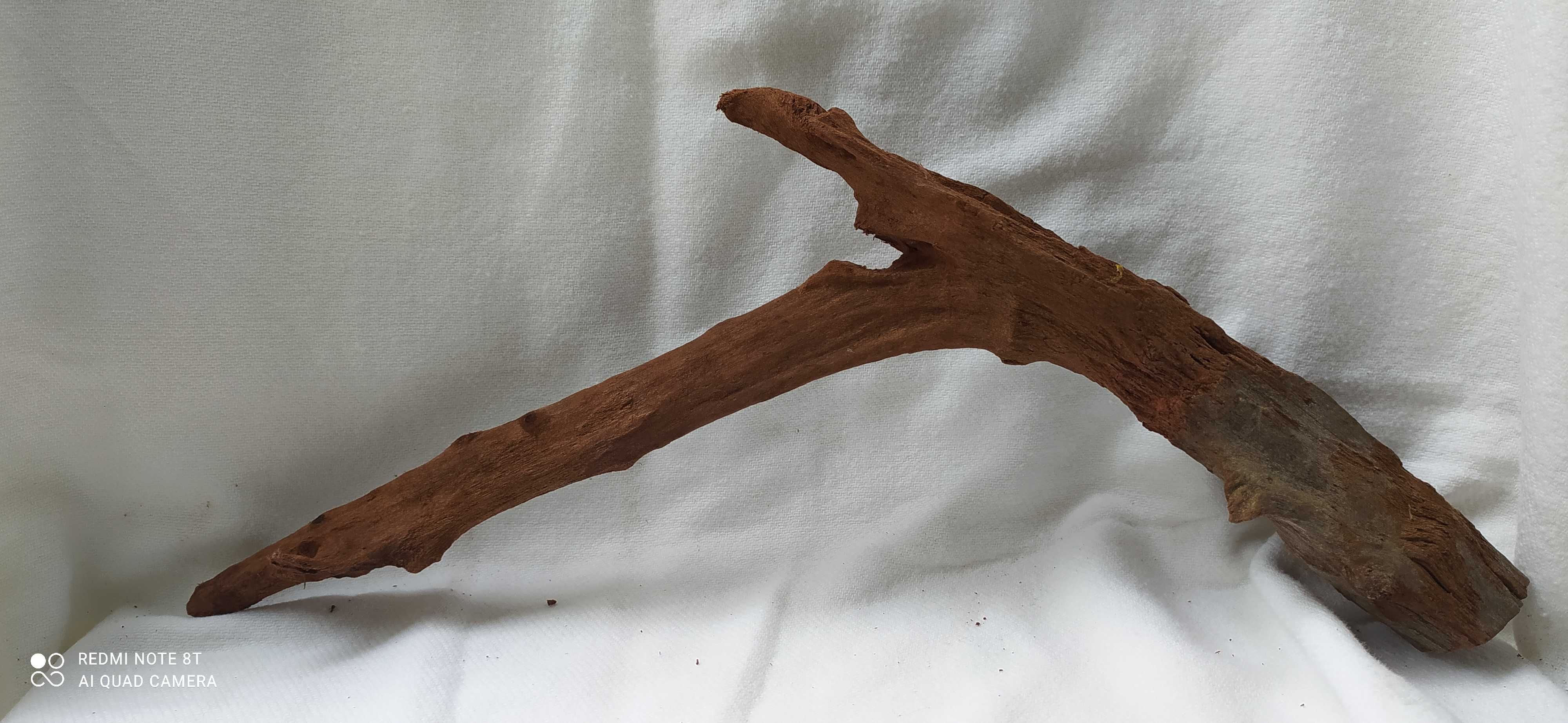 Korzeń drift-wood do akwarium-32 cm