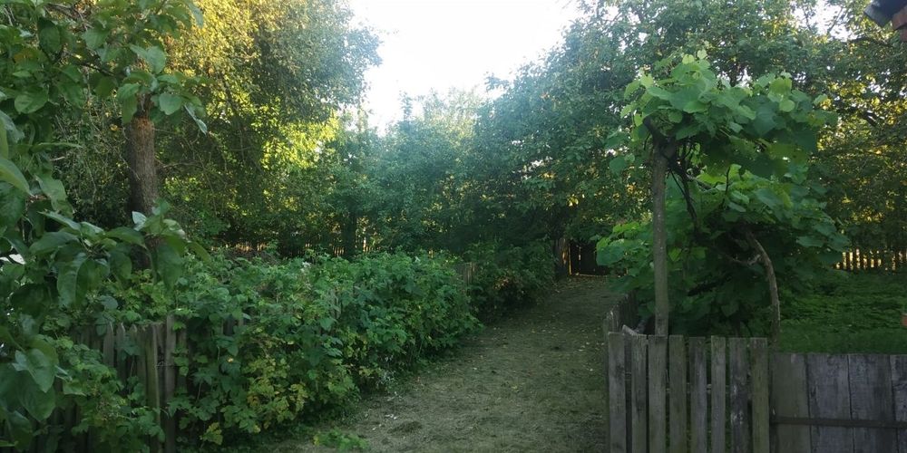 Продам будинок в селі Бабушки