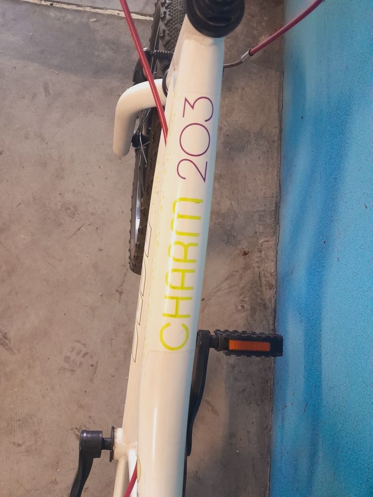 Bicicleta Berg junior