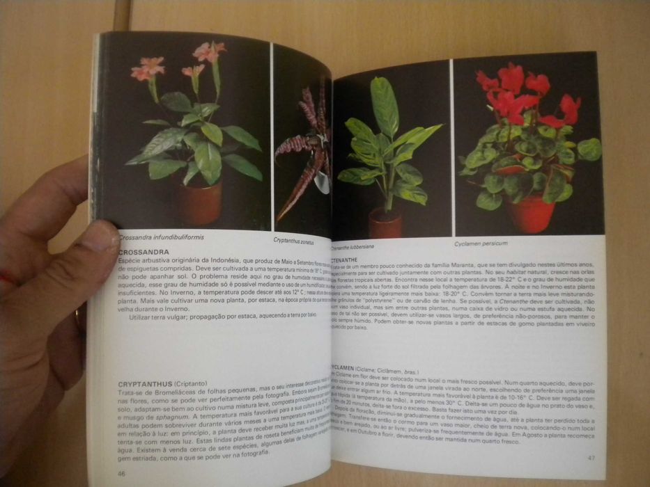 Plantas de Interior
de Rob Herwig