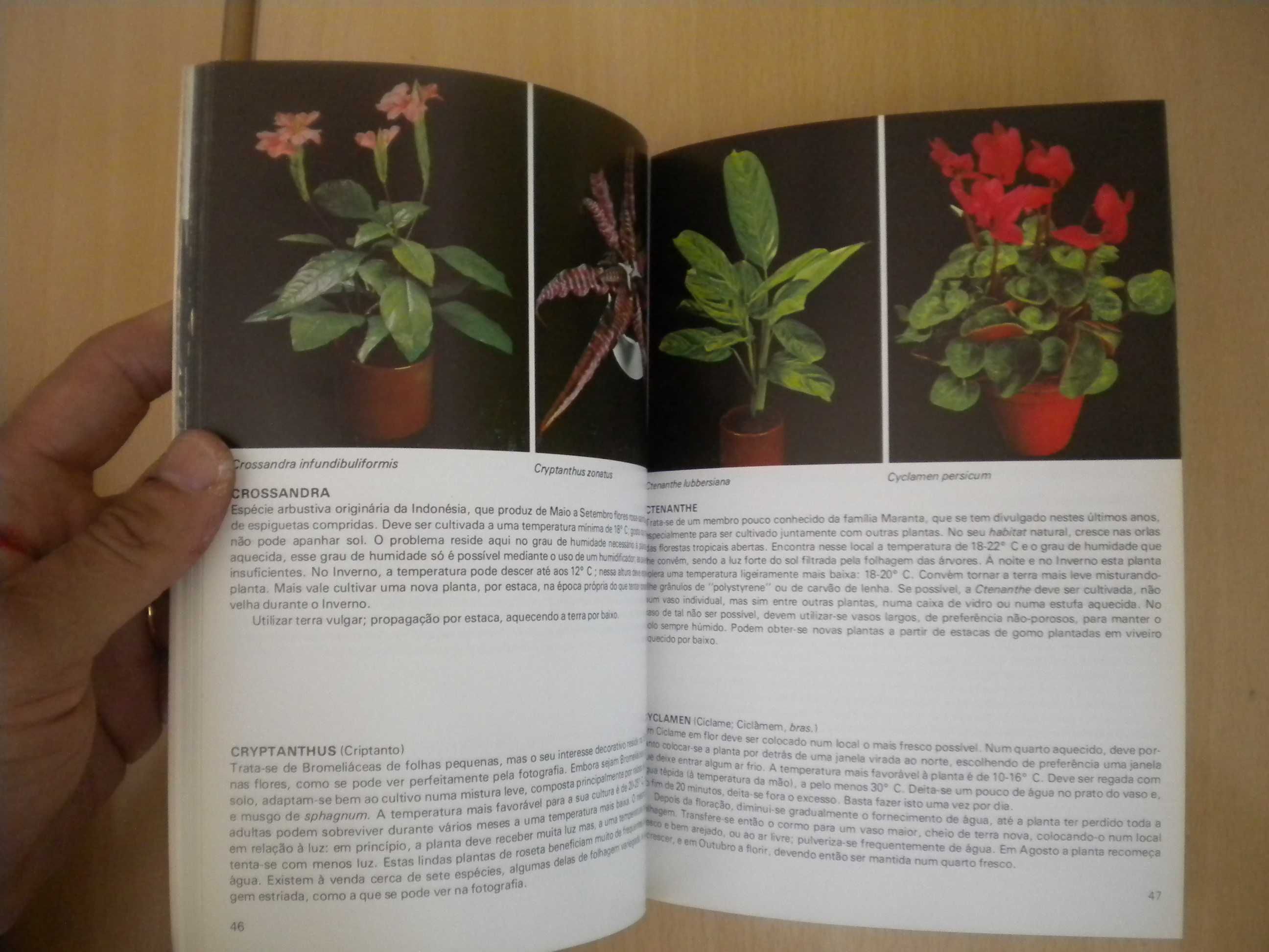 Plantas de Interior
de Rob Herwig