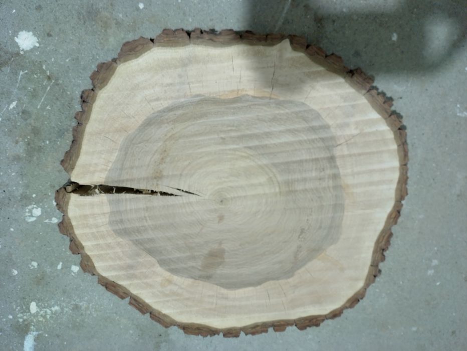 Orzech włoski plasterek na stół