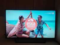 Telewizor SONY KDL- 48WD655 48cali DVB-T 2 Netflix YouTube Smart WiFi