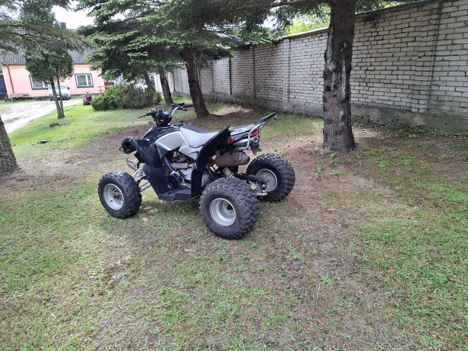 Quad aeon goes cobra 350cc 2017r