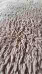 Dywan  160x200 pudrowy kolor