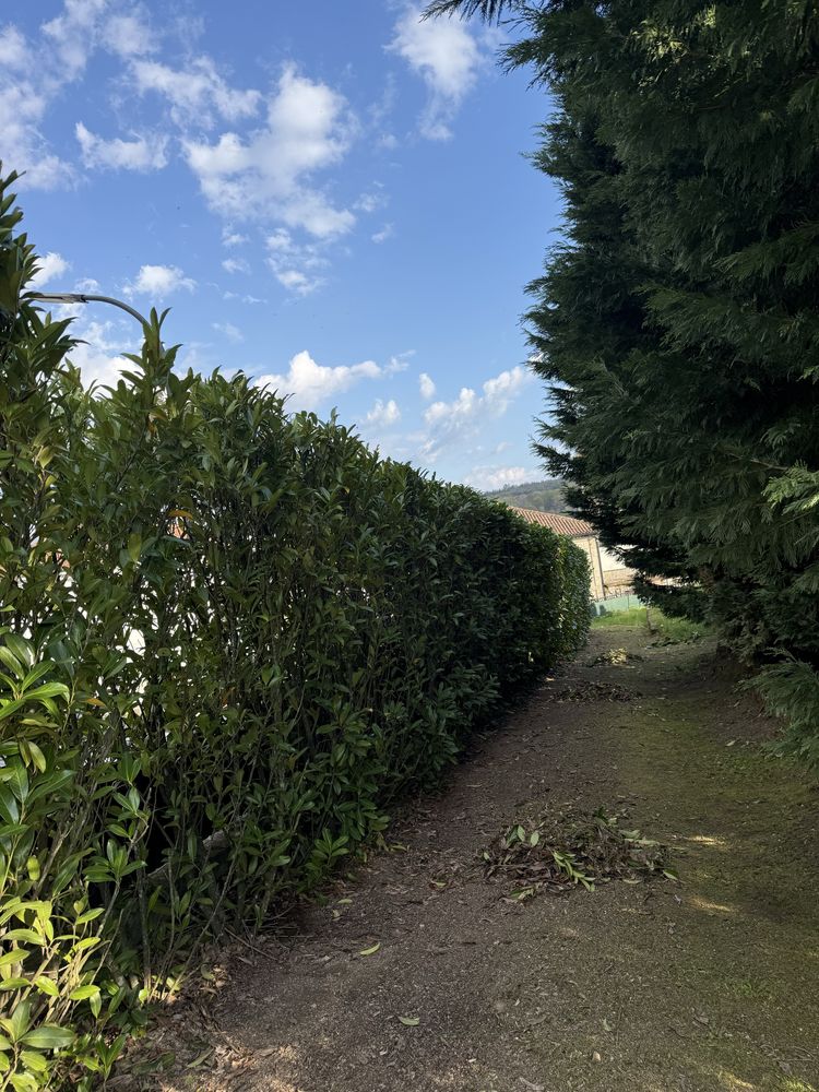 Limpeza de Terrenos , Jardinagem , Podas