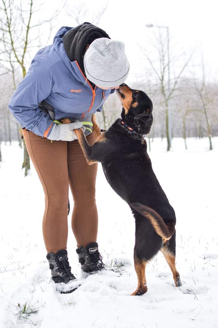 Zima to dla Niego bardzo trudny okres! Piesek do adopcji.