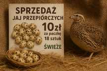 Jaja przepiórcze