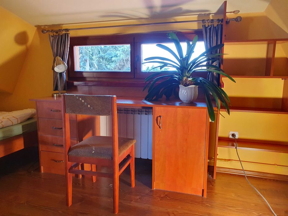 Pokój do wynajęcia