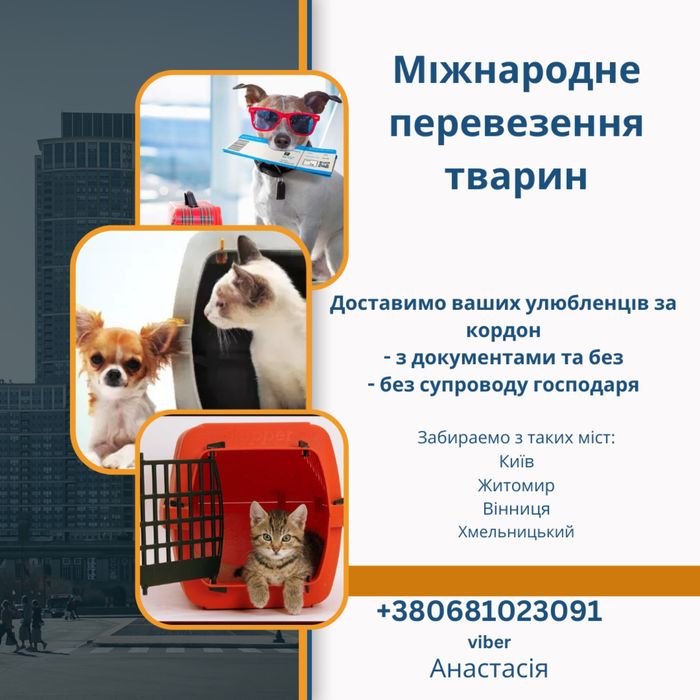 Міжнародне перевезення тварин за кордон