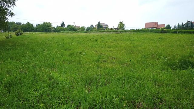 Działka budowlana 52 ary w Grajowie – idealna pod inwestycję Wieliczka