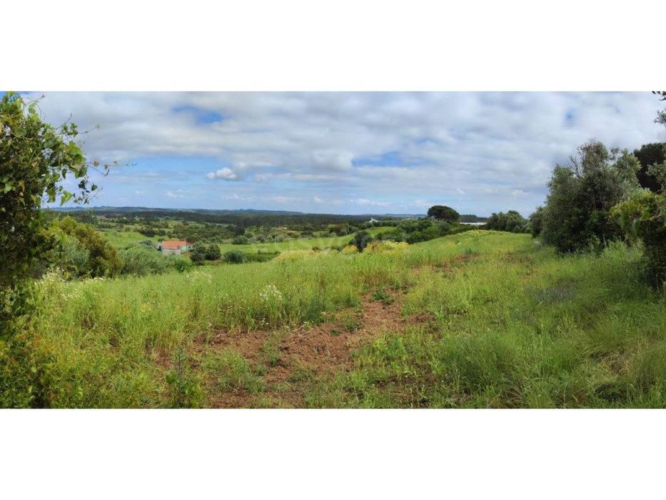 Terreno Rústico com 9600mt2 em Alcoentre, Azambuja