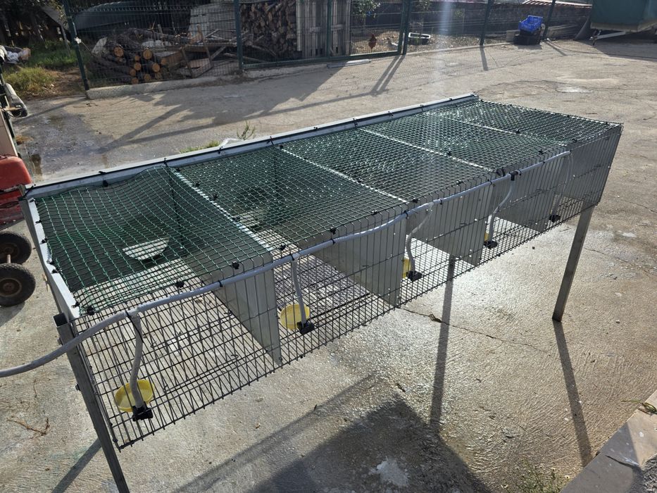 Jaula 5 Casais Perdizes reprodutoras completa